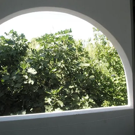Ampeli Πάρος